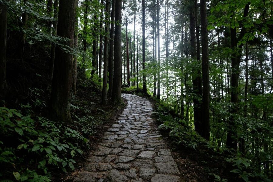 1-Day Tour from Nagoya: Hiking the Historic Nakasendo Trail - Why the Nakasendo route is worth your day