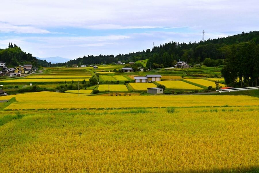 1-Day Tour from Nagoya: Hiking the Historic Nakasendo Trail - Tsumago-juku, an excellent first look at the old road