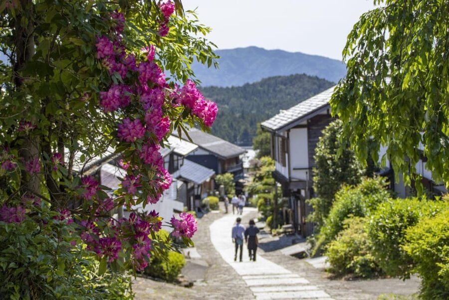 1-Day Tour from Nagoya: Hiking the Historic Nakasendo Trail - Eight kilometers through forest, water, and hills