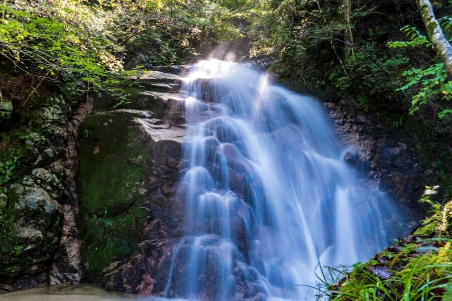 1-Day Tour from Nagoya: Hiking the Historic Nakasendo Trail - Eating on the trail requires planning