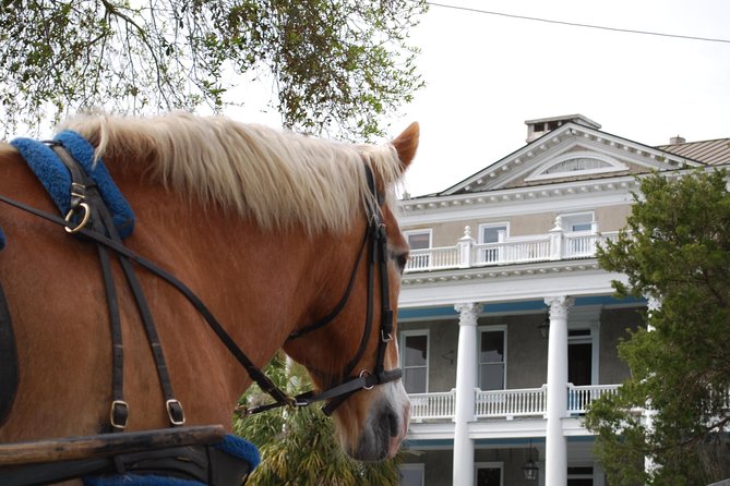 #1 Historical Horse Drawn Carriage Tour - Old Beaufort’s houses, trees, and backstreets