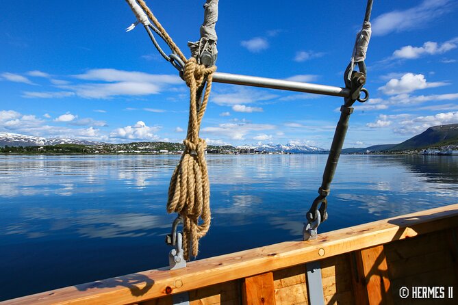 1 Hour Photo & History Cruise - Passing beneath Tromsø Bridge