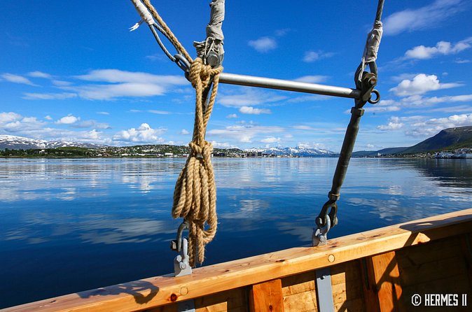 1 Hour Photo & History Cruise - Warm drinks, blankets, and a practical northern setup