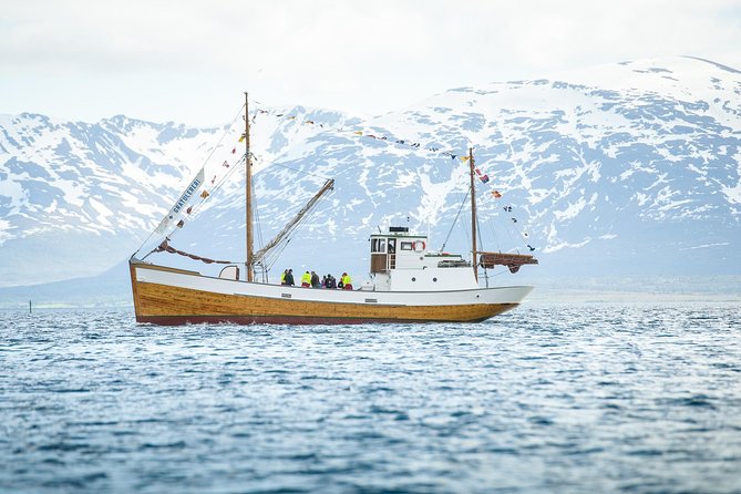 1 Hour Photo & History Cruise - A good short trip for families