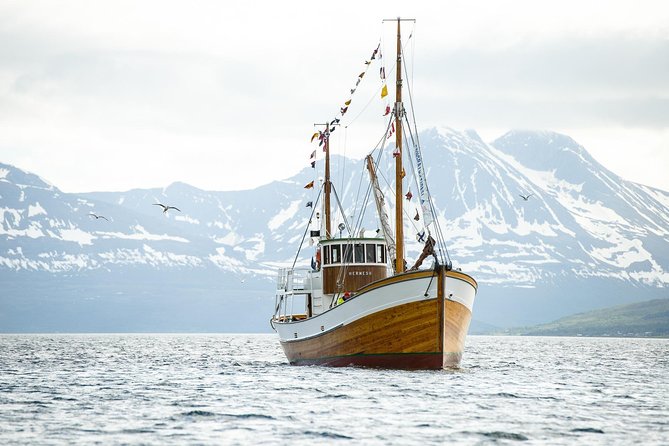 1 Hour Photo & History Cruise - A 1917 workboat with a second life