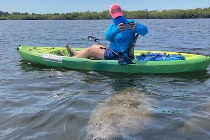 2.5 Hour Kayaking with Manatee and History Tour in Tarpon Springs - Who Will Enjoy This Kayak Tour?