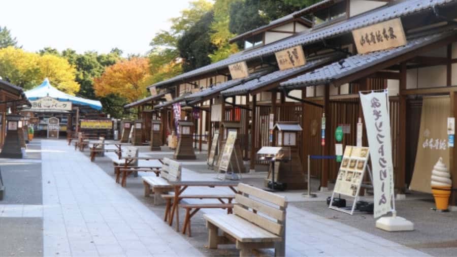 2.5-Hour Nagoya Tour: Castle History, Local Food & City View - What the $41 price actually covers