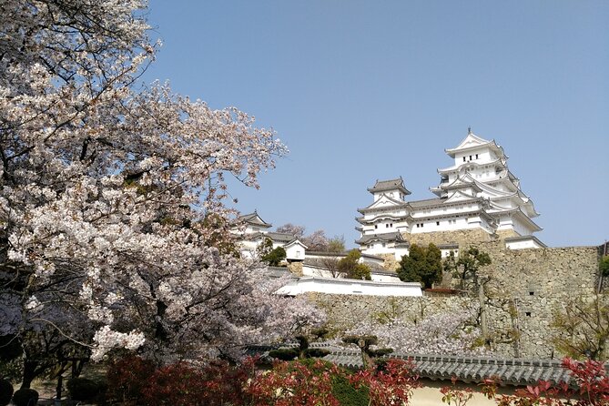 2.5 Hour Private History and Culture Tour in Himeji Castle - The main castle visit and its changing pace