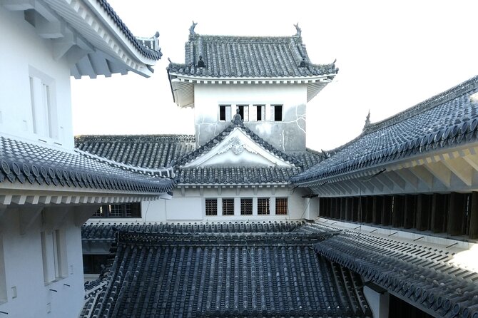 2.5 Hour Private History and Culture Tour in Himeji Castle - Panoramic views and better castle photographs