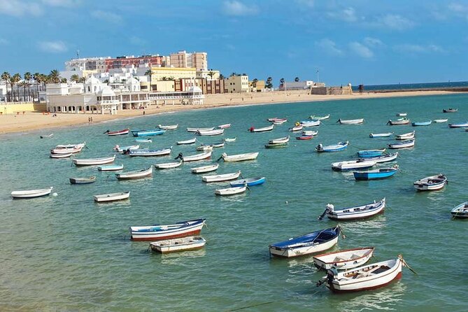 2 Hours Tour around Cádiz: History, anecdotes and curiosities - Plaza de España and Cádiz in wartime