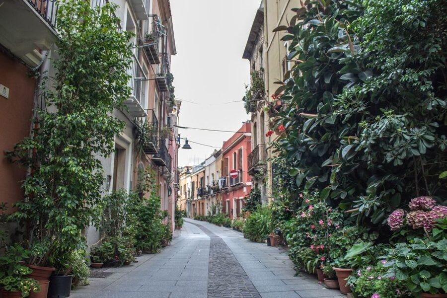 3 Hours Guided Tour of the Historical Cagliari - Marina: finishing near Via Roma