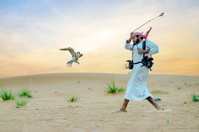 57 Heritage Safari with Dune Buggy - Falconry, a living piece of desert culture