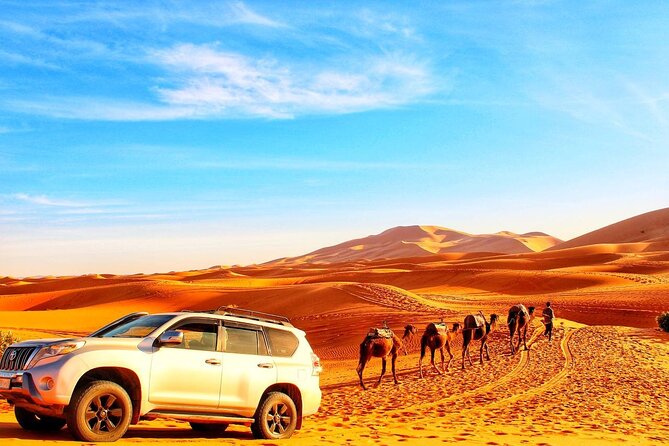 6-Day Private Morocco Cultural Tour From Casablanca To Marrakech - Fes in half a day: the trip’s strongest city visit