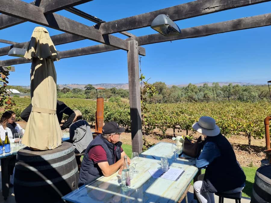 A Barossa Valley pickup: Wine and Heritage Tour, Local Guide - Who will enjoy this tour most