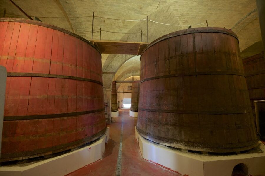 Abruzzo: Historic Cellar Wine Tour and Tasting - Why Cantina Mazzarosa Devincenzi Is Worth Your Time