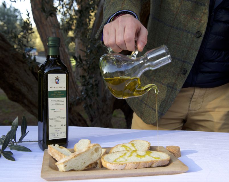 Abruzzo: Historic Cellar Wine Tour and Tasting - Who Will Enjoy This Winery Visit Most