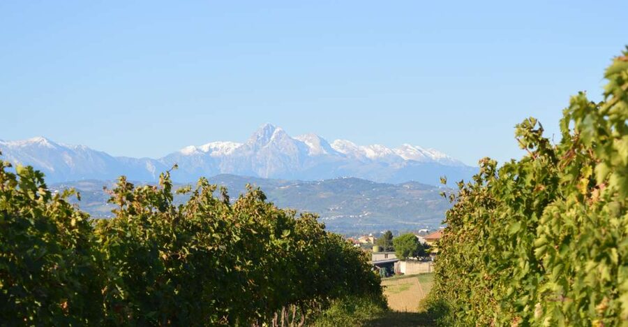 Abruzzo: Historic Cellar Wine Tour and Tasting - Five Wines That Tell an Abruzzo Story