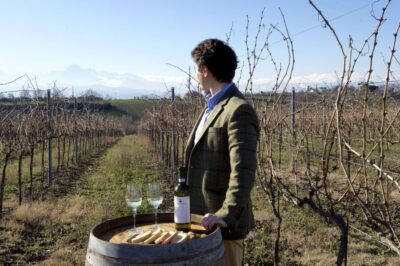 Abruzzo: Historic Cellar Wine Tour and Tasting