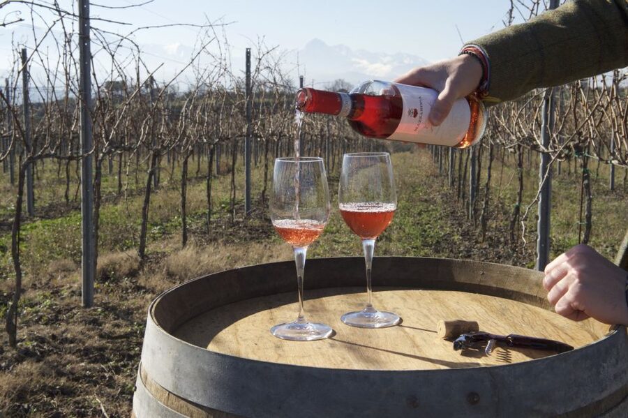 Abruzzo: Historic Cellar Wine Tour and Tasting - Olive Oil, Bruschetta, and Abruzzo on a Plate