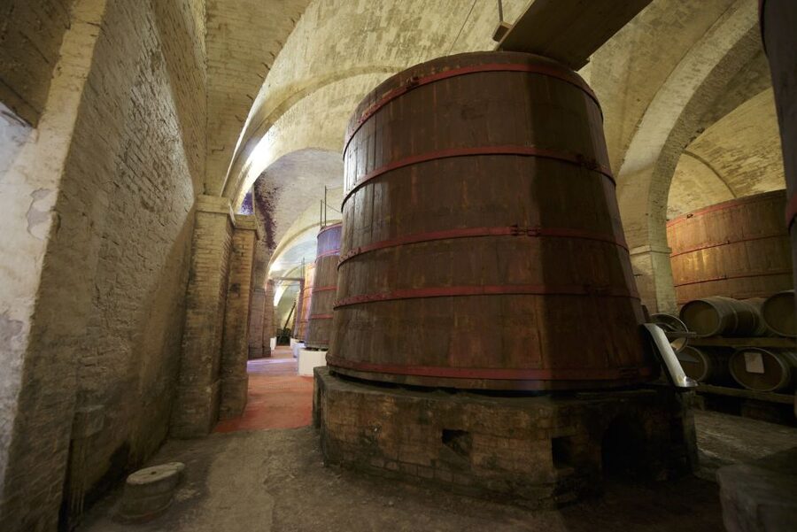 Abruzzo: Historic Cellar Wine Tour and Tasting - The Guide Can Shape the Whole Visit