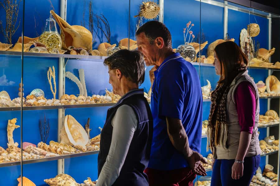 Albany: Historic Whaling Station Entry Ticket - The gardens and Australian Wildlife Park