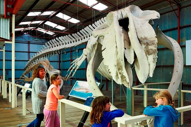 Albany's Historic Whaling Station Admission Ticket - Inside the former whale-oil tanks