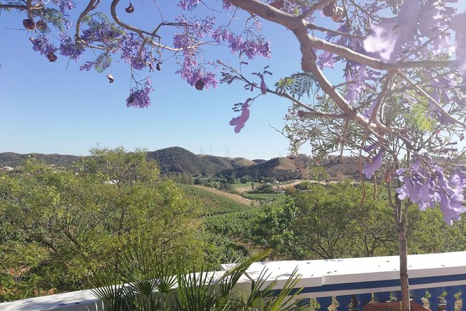 Albufeira Wine Tasting: Boutique Winery Tour & Historic Silves - Inside the working winery