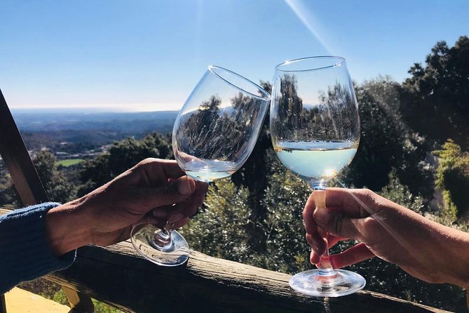 Albufeira Wine Tour: 2 Vineyards, 6 Tastings & Historic Silves - What you actually taste in the Algarve