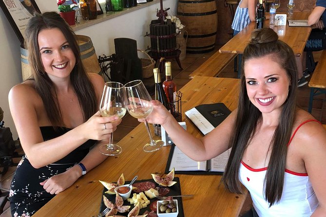 Albufeira Wine Tour: 2 Vineyards, 6 Tastings & Historic Silves - Price, transport, and the real value