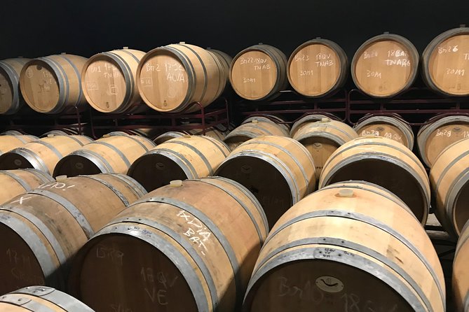 Albufeira Wine Tour: 2 Vineyards, 6 Tastings & Historic Silves - Who should book this experience?