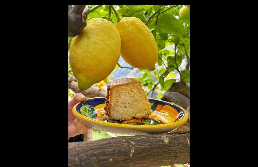 Amalfi Organic Lemon Tour & Tasting in the Historical Garden - The sea-view tasting is the payoff