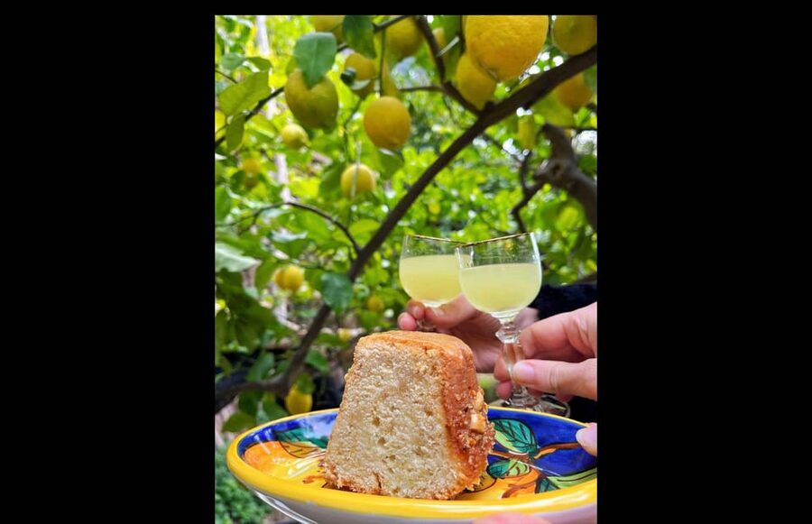 Amalfi Organic Lemon Tour & Tasting in the Historical Garden - Booking details worth knowing