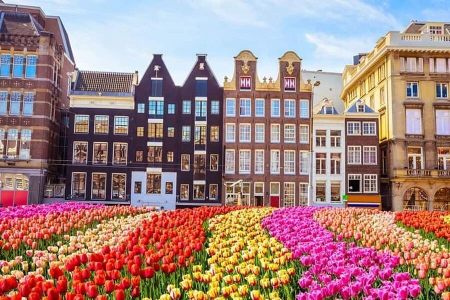 Amsterdam: Walking Tour of Historic Center - Key points to know before you book