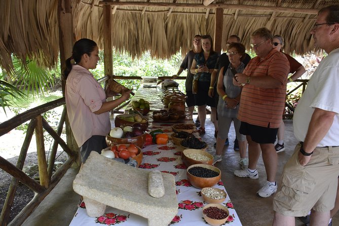 Ancient Chacchoben Mayan Ruins & Mayan Experience from Costa Maya - The $119 price and what you receive