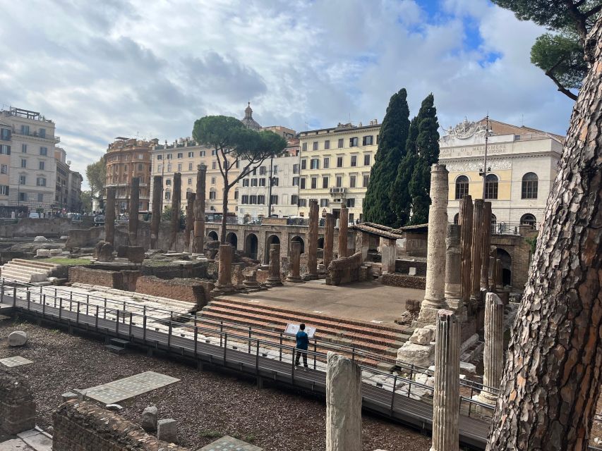 Ancient Rome: Archeological area Largo Argentina - Key points to know before you go