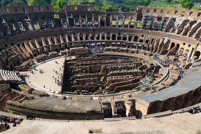 Ancient Rome: Colosseum Underground Group Tour - Palatine Hill and the Roman Forum at your own pace