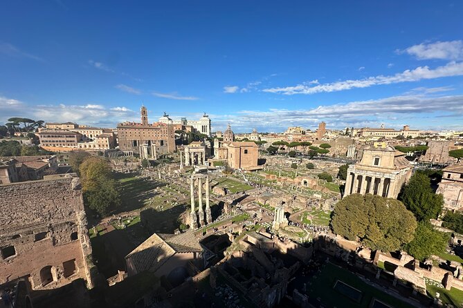Ancient Rome Discovery: Colosseum, Forum, Palatine Guided Tour - The guides make or break the experience