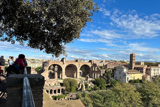 Ancient Rome Discovery: Colosseum, Forum, Palatine Guided Tour - Is $156 a fair price?