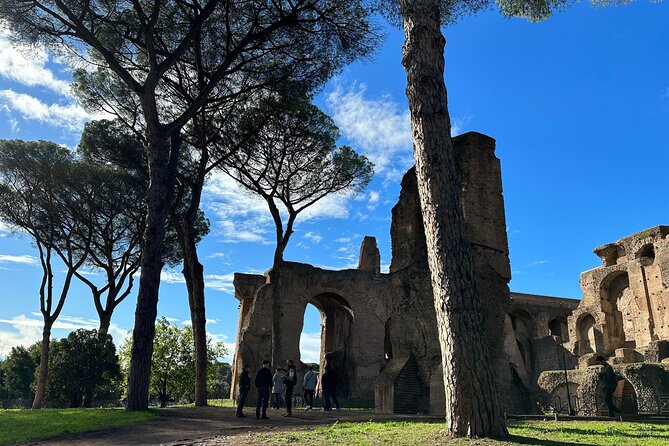 Ancient Rome Discovery: Colosseum, Forum, Palatine Guided Tour - Who should book this Rome tour?