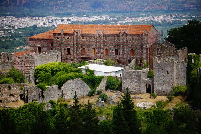 Ancient Sparta & Mystras Private Day Tour from Athens - A short lesson in Greek olive oil