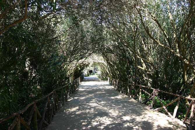 Ancient Syracuse: private guided tour of the Neapolis archaeological park - What the $108.24 price means