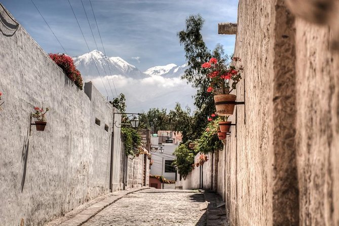 Arequipa, Historic and Colonial City and Santa Catalina Monastery - What the $61 price really buys