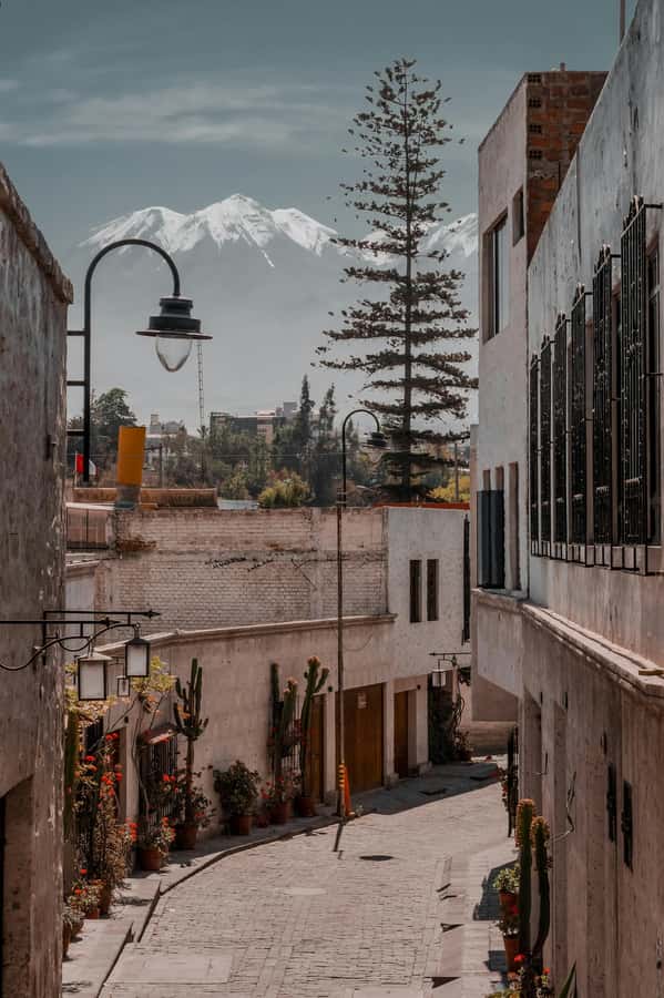 Arequipa: Walk through the Historic Center of the City - The Cathedral and Arequipa’s formal face