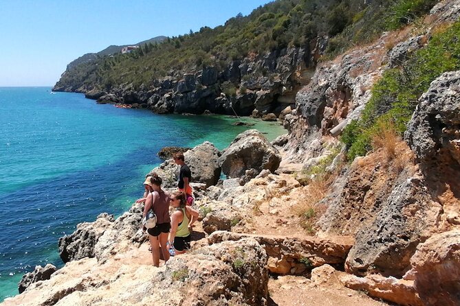 Arrábida: Beach, Nature & History - The road into Arrábida Natural Park