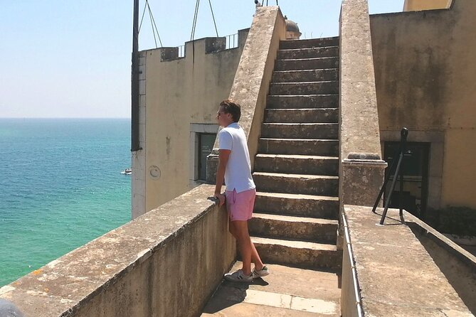 Arrábida: Beach, Nature & History - The forest and the chance of wildlife