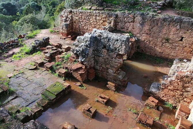 Arrábida: Beach, Nature & History - Roman remains and forts from the 17th century