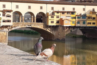Art and History in Florence: Small Group Walking Tour