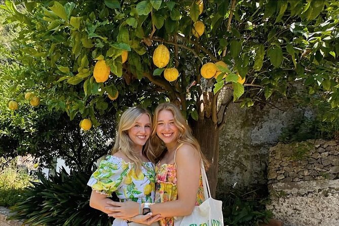 Authentic Amalfi Lemon Tour & Tasting in the Historical Garden - Why Amalfi’s lemons need terraces