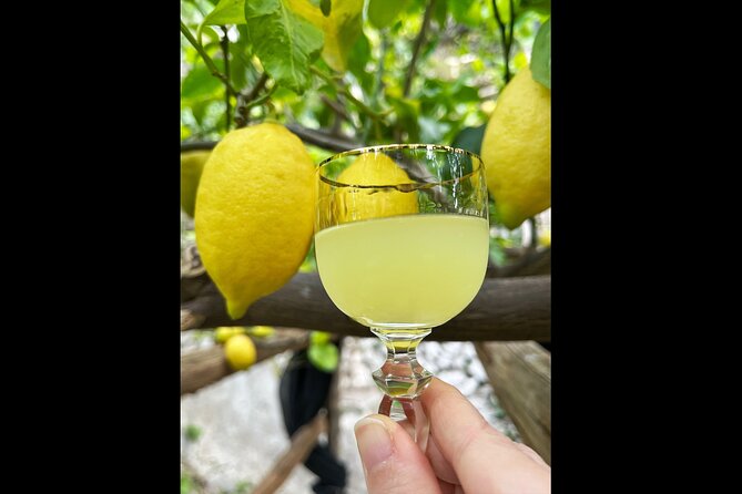 Authentic Amalfi Lemon Tour & Tasting in the Historical Garden - What you learn about organic citrus growing