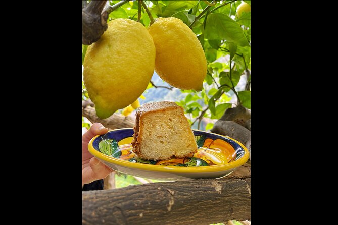 Authentic Amalfi Lemon Tour & Tasting in the Historical Garden - The view across Amalfi and the sea